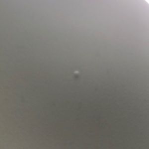 Meet your Posher, Janiece